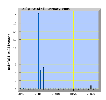January 2005 rainfall grapg