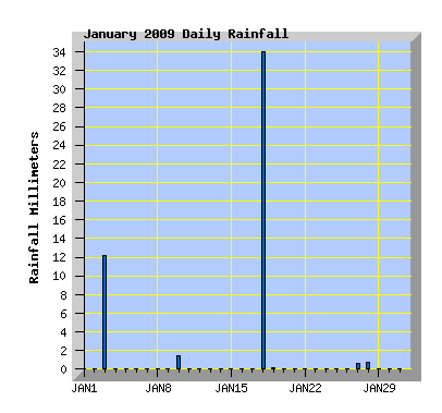 January 2009 Rainfall Graph