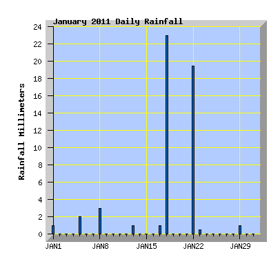 January 2011 Rainfall Graph