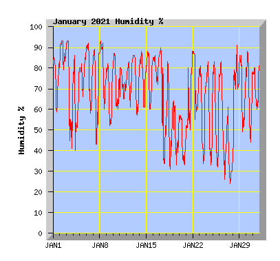 January 2021 Humidity Graph