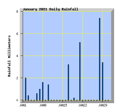 January 2021 Rainfall Graph