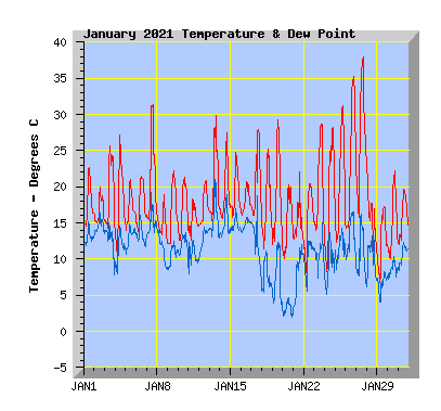 January 2021  Temperature Graph