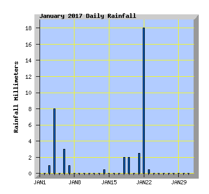 January 2017 Rainfall Graph